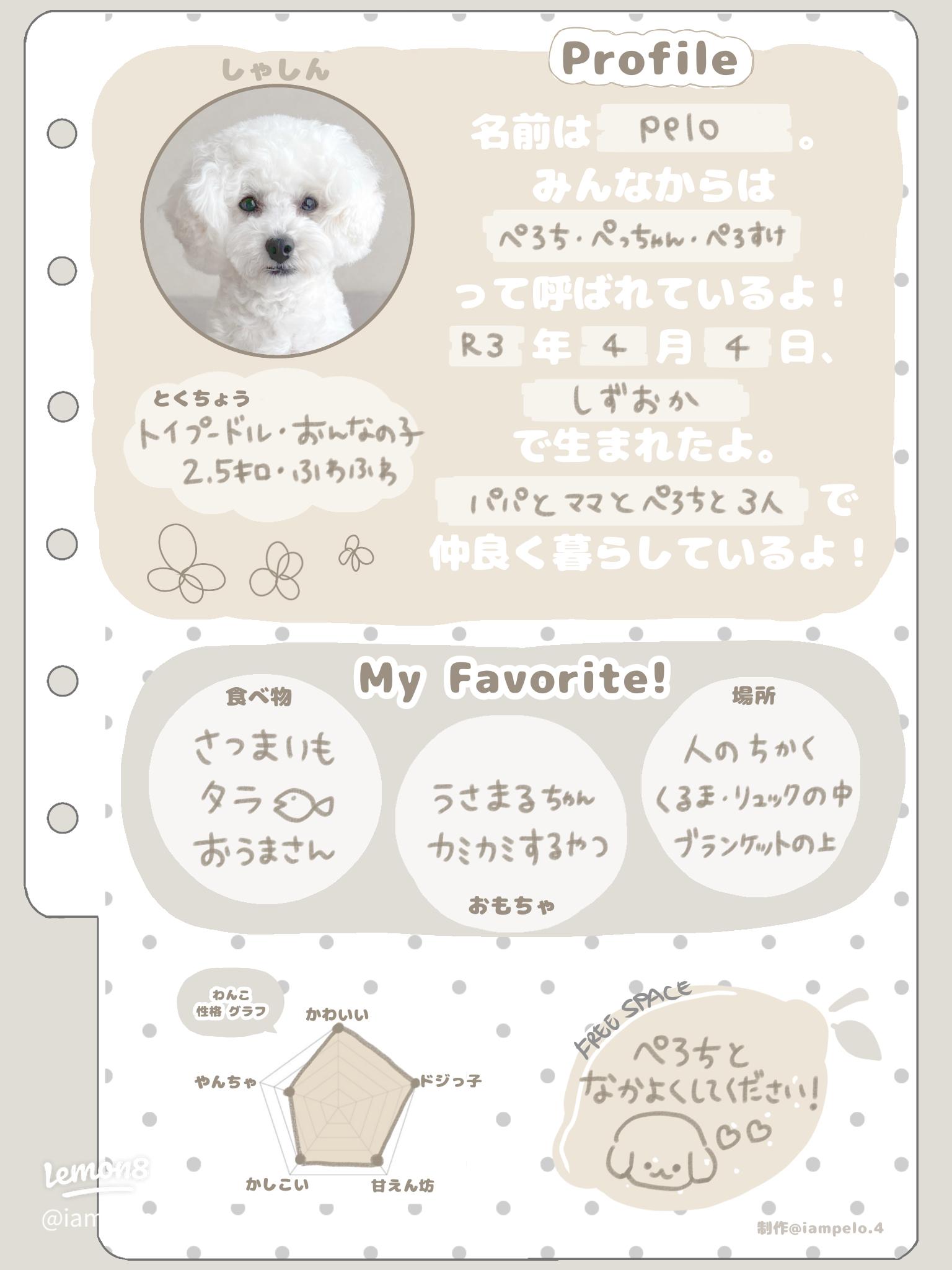 わんこ専用プロフィール帳 - ぺろちの魅力を紹介✨
