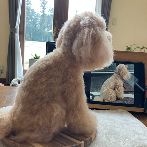 羊毛とプー】 ♦️プレミアムサイズ♦️ 羊毛フェルト オーダーメイド