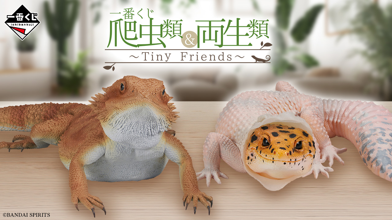 一番くじ 爬虫類＆両生類～Tiny Friends～」7月27日より発売決定