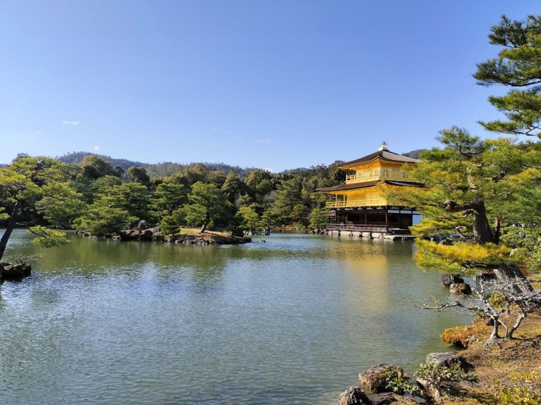 【たかぼー】11月12日テキスト出品 ぼのフェス2025秋』が全国の書店にて10月末より順次開催！ 対象の